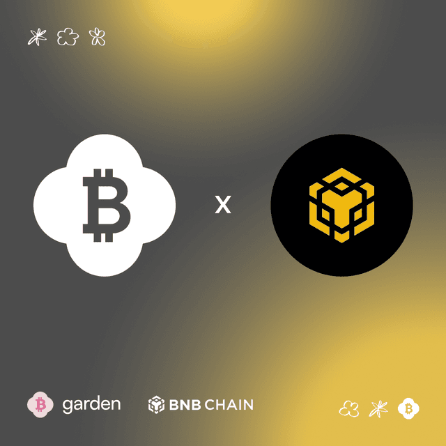 Bridge Bitcoin to BNB Chain in Seconds