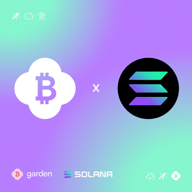 Bridge Bitcoin to Solana in Seconds