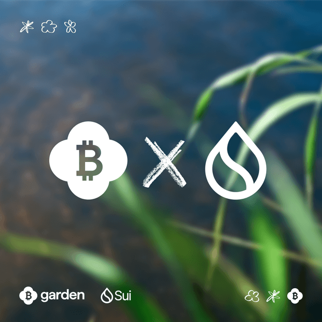 Bridge Bitcoin to Sui in Seconds
