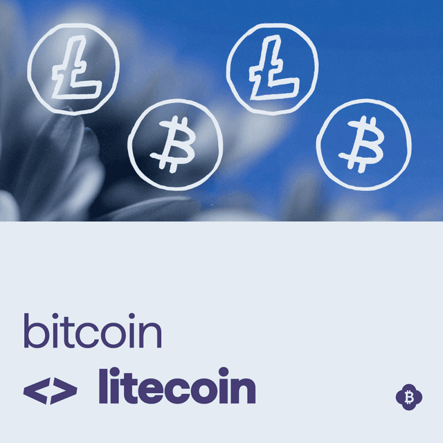 Swap LTC Cross Chain, Trustlessly